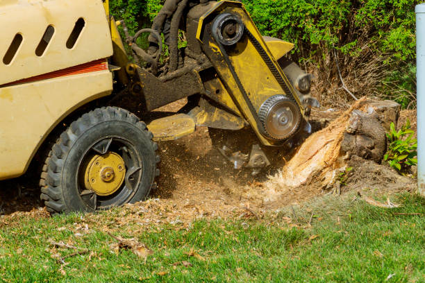 Best Emergency Tree Removal  in Mableton, GA