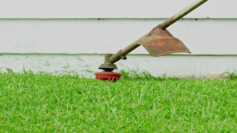 Lawn Pest Prevention in Mableton, GA